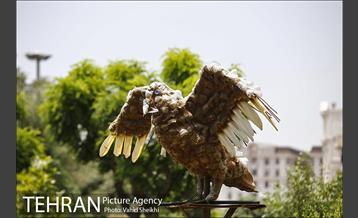 بوستان میعاد 25