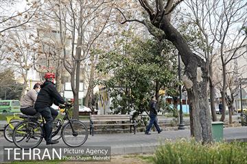 پویش سه شنبه های بدون خودرو 15