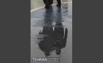 باران بهاری در تهران 28
