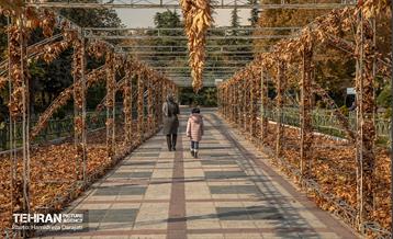 گذرگاه های پاییزی پایتخت - پارک ملت  3