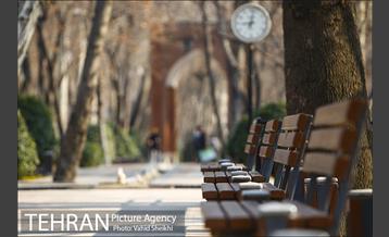 باغ ایرانی 20