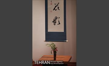 شکوفه های گیلاس و افسانه گنجی در موزه امام علی 2 24