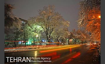 روز برفی در پارک لاله 22