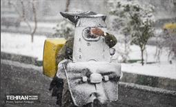 بارش اولین برف زمستانی در تهران 3