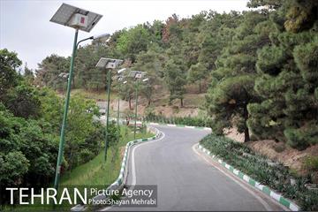 پارک جنگلی لویزان‎ 16