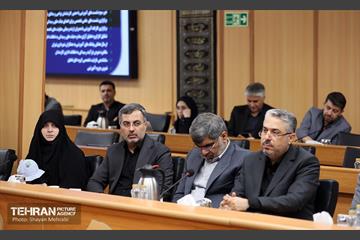 چهاردهمین نشست هیات‌های رسیدگی به تخلفات اداری کارمندان شهرداری تهران 17