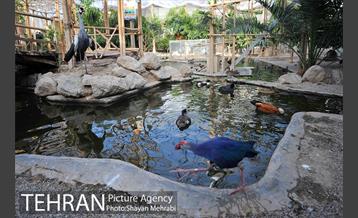 باغ پرندگان تهران 14