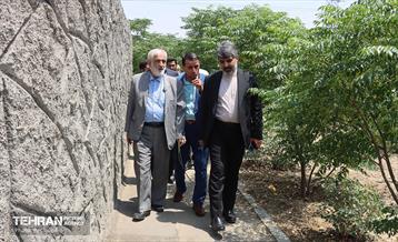 بازدید نائب رییس شورای اسلامی شهر تهران از منطقه۴  6