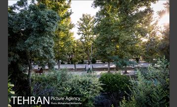 شهرنگار؛ بوستان قائم 22