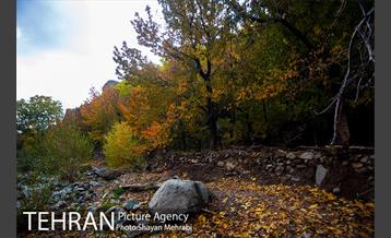 طبیعت پاییزی روستای سنگان 28