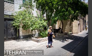 شهرنگار؛ محله عودلاجان 12