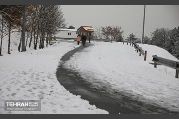 روز برفی تهران - 2 18