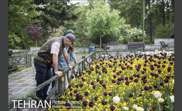 روز تعطیل در بوستان ملت 12