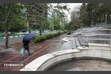 بارش باران بهاری در تهران - 1 22