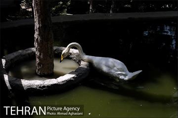 باغ پرندگان تهران 15