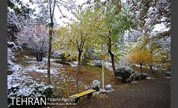 بارش برف پاییزی در بوستان طالقانی 12