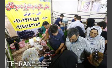 جشنواره شاتوت و محصولات محلی دهستان سولقان 5