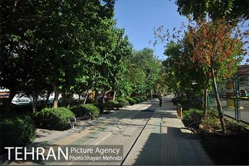 بوستان المهدی 11