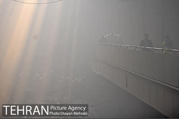 ساختمان پلاسکو فرو ریخت-2 41