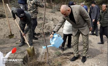 جشن درختکاری در منطقه ۵ 4