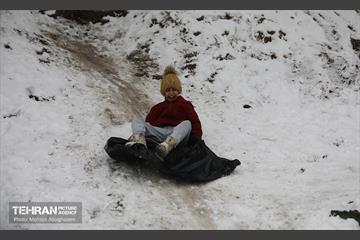 روز برفی تهران - 2 11