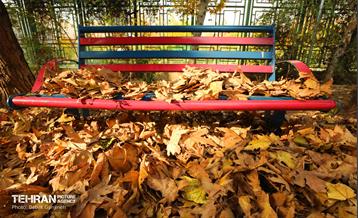 گذرگاه های پاییزی پایتخت - منطقه 13