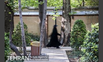 بوستان باغ ایرانی 38