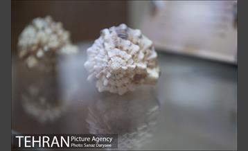 دهمین تور عکاسی آژانس عکس تهران از مکان های شاخص منطقه یک 12