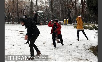 روز برفی بلوار کشاورز 12