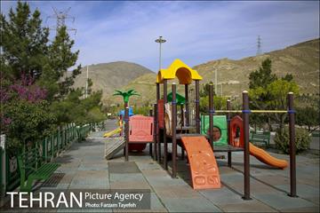 روز طبیعت در بوستان هاى منطقه ٥