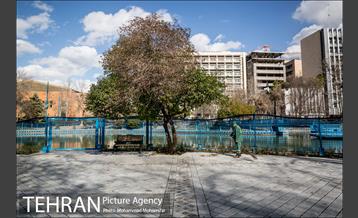 پارک شهر بعد از یک صبح بارانی 16