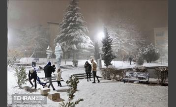 بارش برف زمستانی در معابر شمالی پایتخت - 1 26