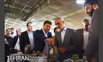 طرح تعویض کاتالیست فرسوده ویژه تاکسی 5