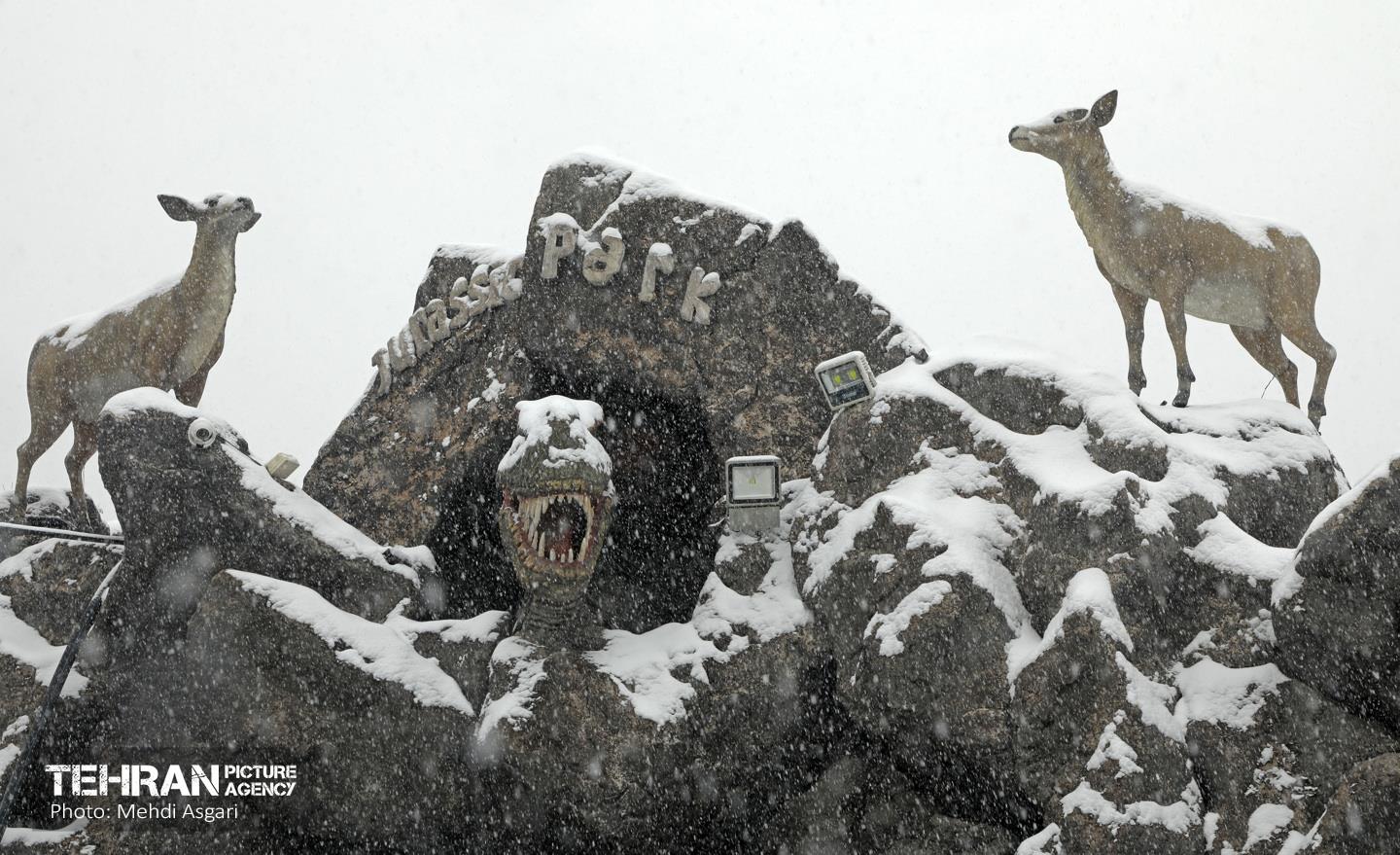 بارش برف زمستانی در منطقه ۲ 35