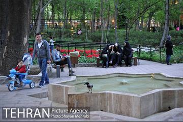 باغ ایرانی (بوستان مهندس مختاری) 47