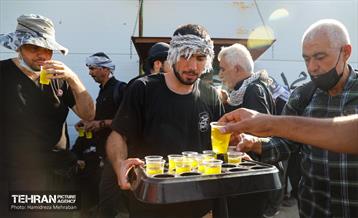 پیاده‌روی زائرین اربعین حسینی در مسیر نجف به کربلا 6