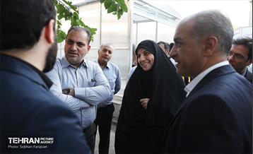 بازدید مدیرکل حوزه شهردار تهران از پروژه پل‌های مکانیزه عابرپیاده 33