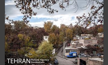 پاییز زیبای منطقه کن 21