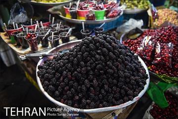 محله تجریش 14