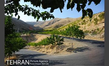 بوستان جنگلی لتمال کن 3