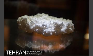 موزه علوم زمین‎ 1