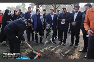 آیین کاشت ۱۰۰۰ نهال به مناسبت میلاد با سعادت حضرت علی (ع) 3