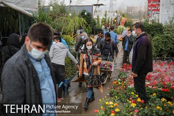 بازار گل و گیاه غرب تهران در آستانه نوروز 3
