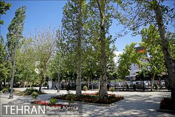 گذر پیاده راه استاد شهریار 11