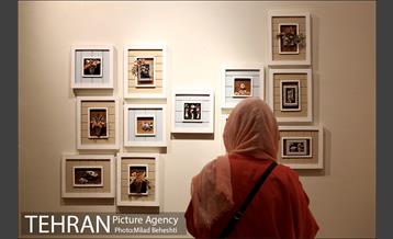 نمایشگاه دست ساخته‌های صدفی محسن قاضی مرادی‎ 9