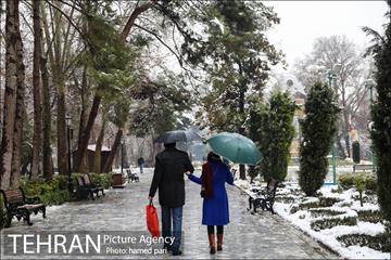 روز برفی تهران در پارک شهر 12