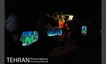 موزه حیات وحش هفت چنار 48