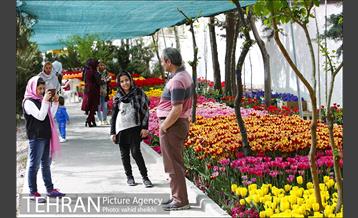 پیاده راه لاله برای مادران 4