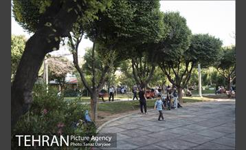 بوستان شقایق 9