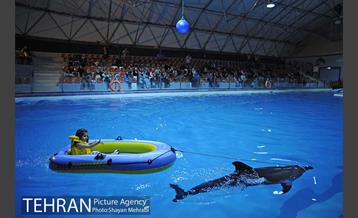 دلفیناریوم برج میلاد 18